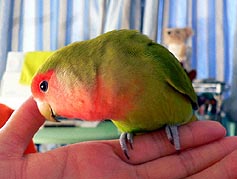 �܂܂��`�B�B