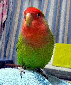 �h�L�h�L�����Ⴄ�患�I