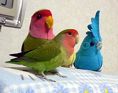 �˂˂��݂�ȁ`�I�p�p�ƃh���C�u������I