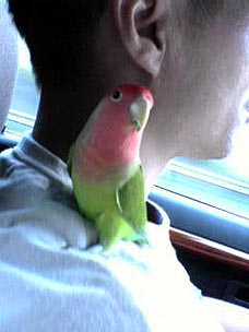 �܂܂��I���񂲁[�������˂��I�I