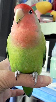 �������I����΂��`�I