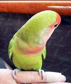 �ӂ��[��A�A�A�}�}�̐Ȃ��Ă������낢�˂��B