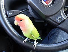 �͂��A���߂Ď~�܂�����������E�E�E�ǂ��ǂ��B�B