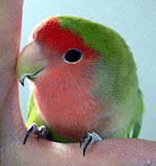 �����΂������A��������������I