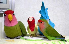 �݂񂠂ŃC�C�R������Ԃ��Ă���I