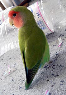 �܂܁`�A�l���l����낿���ˁ`