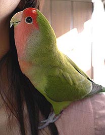 �}�}�@�`�A����܂̉H���A����Ă������Ⴂ�悧�`