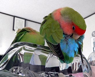 �n�~�n�~�n�~�n�~�n�~�E�E�E�E�E�E�E