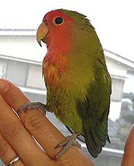 ���`���������A����������