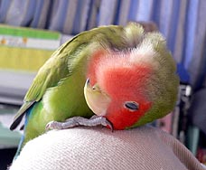 �܂܁`�A�����J�L�J�L���Ă������Ⴂ�`