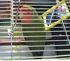 �ȁ[�񂩁A�����ƈႤ�Ȃ��[�B�B