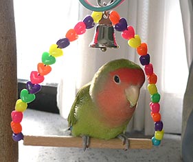 �E�E�E�E�E