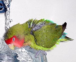 �₽���Ă������񂾂��[��