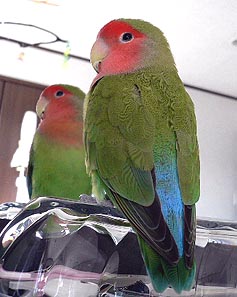 �a�@�́A��ꂿ�Ⴄ�ˁI