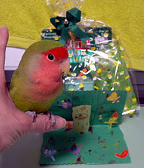 �����I�����ꂽ�񂾂�`�A�J�[�h���ł���H����ƁA�}�}����̃v���[���g�A�����ł���`��