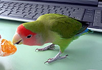 �݂�����I�݂�����I�I