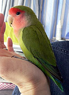 �m��Ȃ����������A����񂾂���B�B