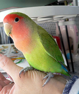 �ӂ��`�A�����͂�[���Ƃ̂�̂񂾂ˁ`