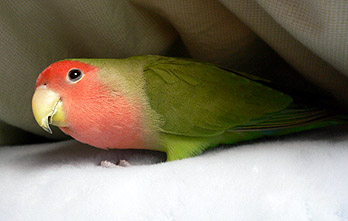 �܂܁A���������l���l����B