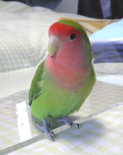 ����͂���A����́H