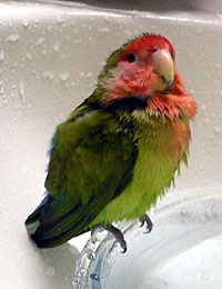 �}�}�����Ă݂�H