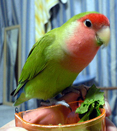 ���������Ȃ��`