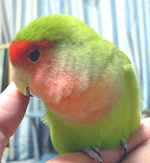 �����͔�ꂽ�ˁ`