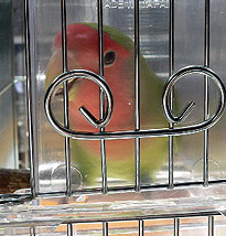 �����ƁA�ЂƂ�ł��H�ׂ���I