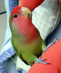 ������`�A�������������˂��I