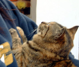 �����������������ɁA���C�Ŋ撣��j���I