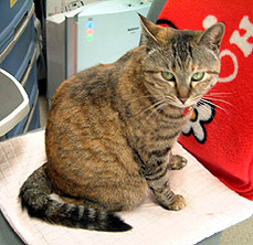 ������`�A�҂��������񂾂ɂ႟�[�[�[�I