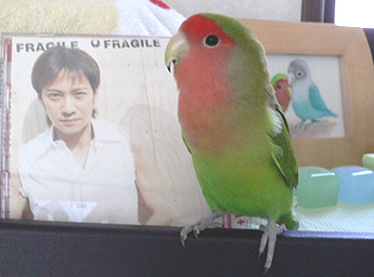 �����N���A��������ɍs�����H