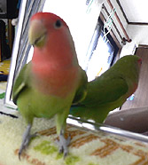 �܂܂��I��������������������I�i�A�W�̊J���`�j