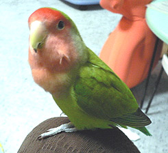 �܂܂��`�A�����[�Y��Ȃ��ł���I�I�I