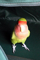 �܂܂��I�������o�|��������I�I