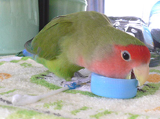 �}�}�A����܂薳�����Ȃ��ł悧�`