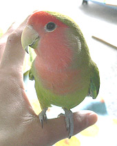 ������A�������Ȃ��ŁI���Č������ł���I