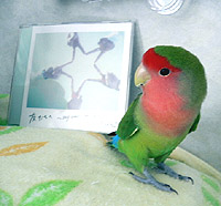 �}�}�A�����Ă������`����