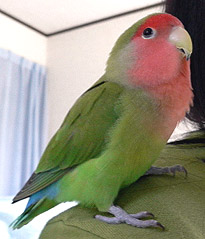 �}�}�A�S�n���Ȃ񂩕ς�����́H