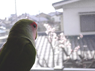 �}�}�A�ڂ��̂��ʐ^����Ȃ��Ă��`�A�A�A