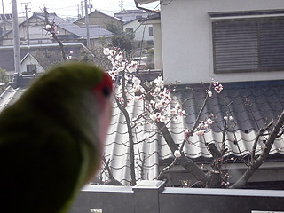 �������A�~�̂��ԁA�L���C�ɎB���Ă˂��