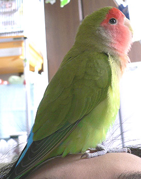 �������`�A�}�}���`�B�B�C�W�������Ȃ��ł悧�`�B�B