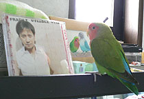 �������[��A�}�}�ɑ��v�I���Č����Ă悧�`