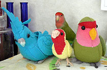 �ق�ق���A�݂�Ȃ����I