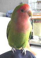 �S�z�����āA�S�����l