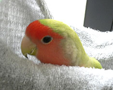 �₾���`�A�܂��ł�Ȃ��Ȃ����Ⴄ���[��