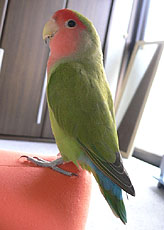 �}�}���A��������[�ԁH�H�H