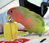 �ււցA����Ȃ̂����O�����Ⴄ����ˁ�