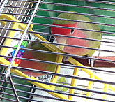 ����[�́A�}�}�̂��猩�āA���b�ł���񂾁`��