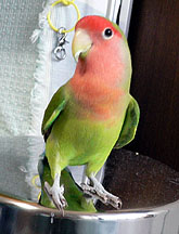 �������̖@���A�������������ˁI�I